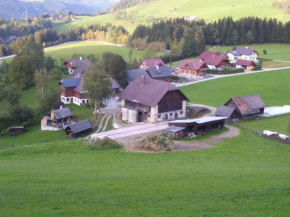 Hotels in Kleinsölk